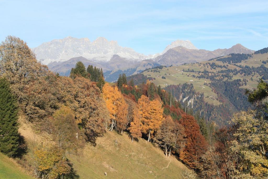 Landgasthof Sommerfeld Pragg-Jenaz Exteriér fotografie